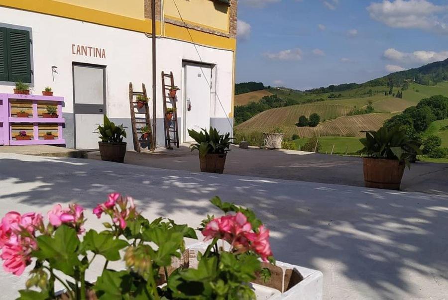 Cascina Angelina Villa Casteggio Eksteriør billede